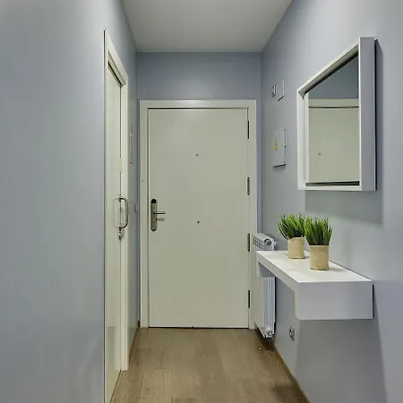 The Collection - Gros Arena Ii * 圣塞瓦斯蒂安